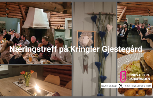 Næringstreff på Kringler Gjestegård